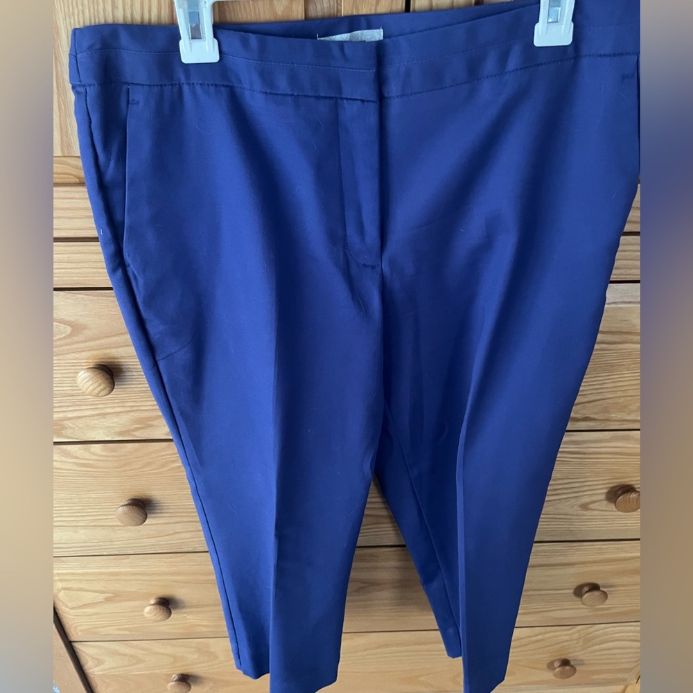 Dress Barn 12 purple capri pants.